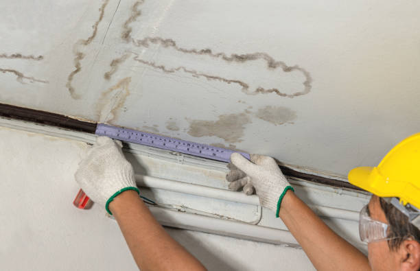 24/7 Emergency Water Damage Repair experts in Forreston, IL