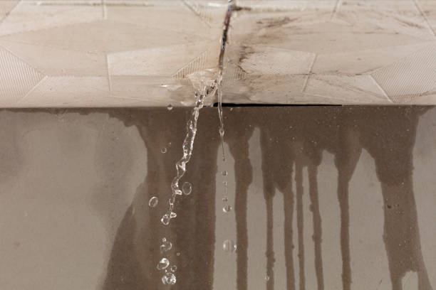 Professional Water Damage Repair technician working in Forreston, IL